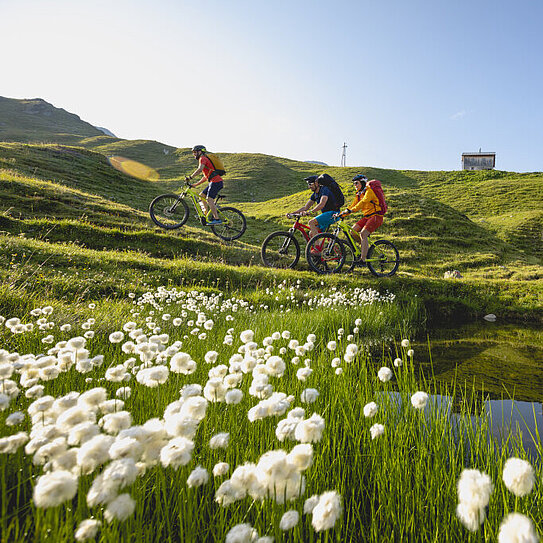 E-Bike_Heilbronner Langsee(c)Stefan_Kothner