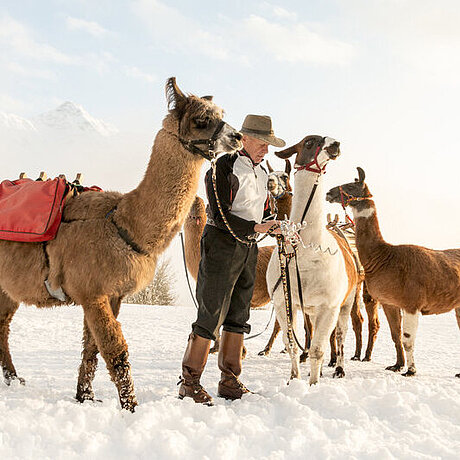 Mann steht mit Lamas im verschneiten Montafon