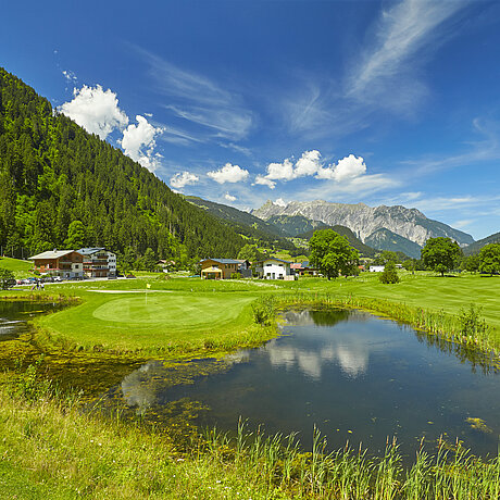 Grüne Landschaft mit See und Ausblick auf die Alpen
