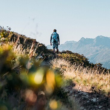 Wandern Alpgues Rundweg Packyourthingsandtravel - Montafon Tourismus GmbH